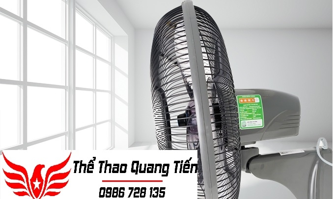 Quạt treo tường Mitsubishi W16-RV