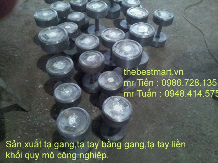 Tạ tay gang đúc liền khối tay đòn inox dành cho phòng gym