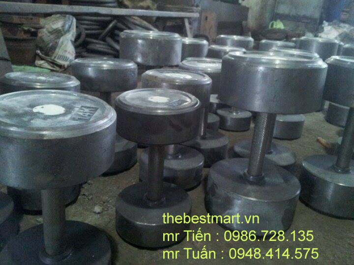 Tạ tay gang đúc liền khối tay đòn inox dành cho phòng gym