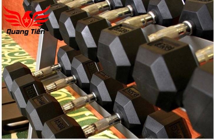Tạ tay cao su lục giác cao cấp Iron Bull 10kg nhập khẩu ( giá 1 quả )