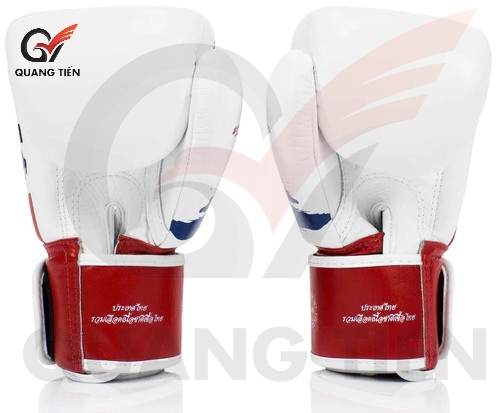 GĂNG TAY BOXING FAIRTEX THAI PRIDE