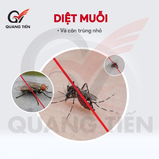 Đèn bắt muỗi Điện Quang ĐQ EML08 BL