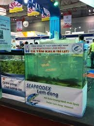 Seaprodex giới thiệu sản phẩm cá tầm tại Vietfish 2013