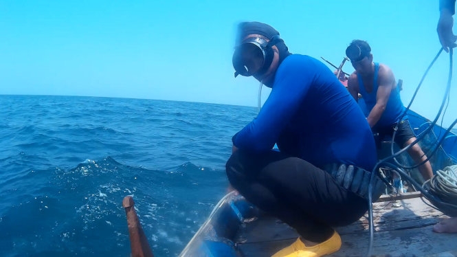 Đáy biển Quảng Bình: Cá chết không thấy, cá sống lèo tèo