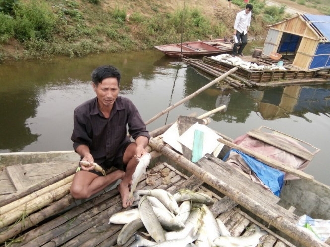 Sẽ đền bù hơn 1,4 tỉ đồng vụ cá lồng chết