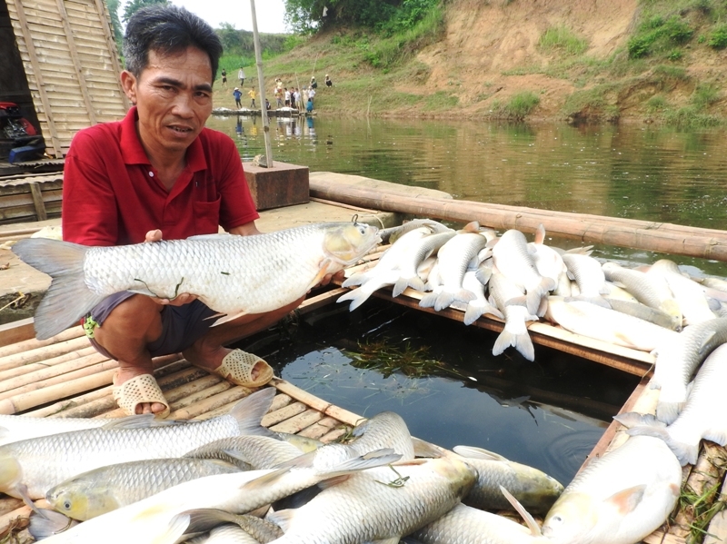 Vụ cá chết trên sông Bưởi: Đại diện nhà máy xin lỗi và trao tiền hỗ trợ