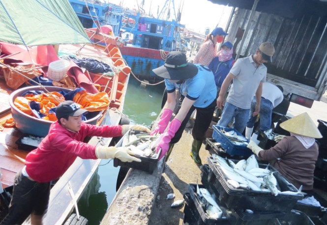 Doanh nghiệp cam kết mua hải sản, ngư dân bớt lo