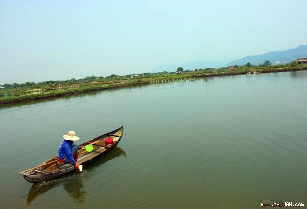 Tôm cá chết la liệt, người nuôi cay đắng bỏ nghề