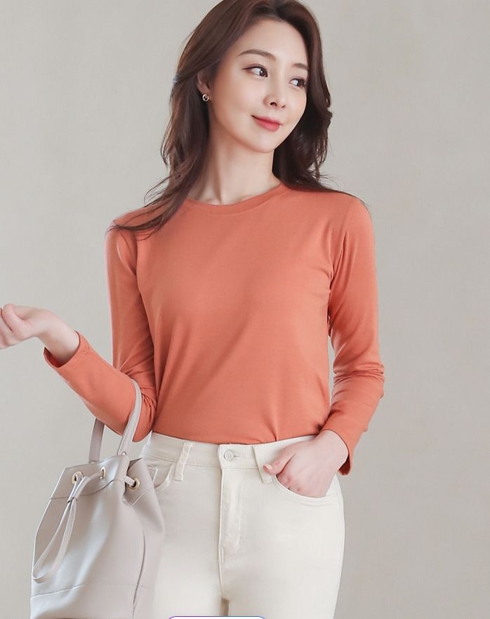 Áo thun nữ Hàn Quốc 101711
