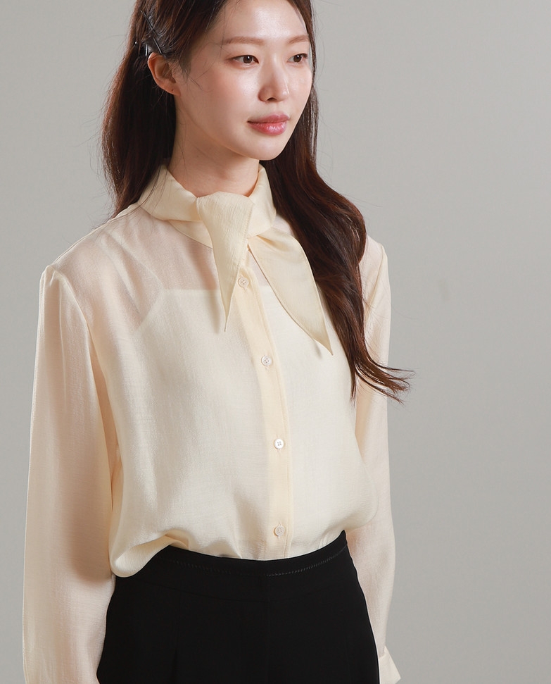 Sơ mi nữ Hàn Quốc 101312