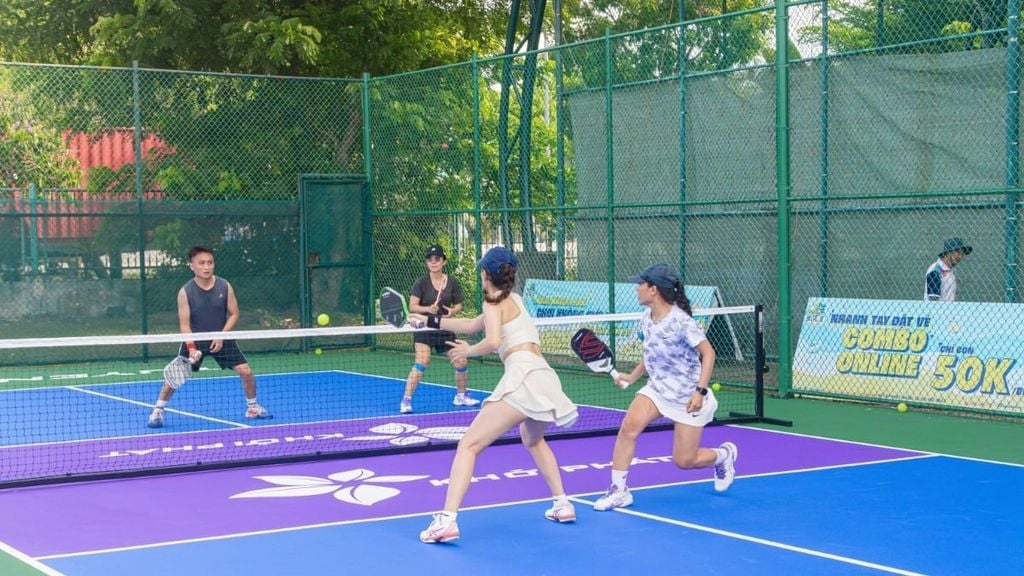 THI CÔNG SÂN PICKLEBALL