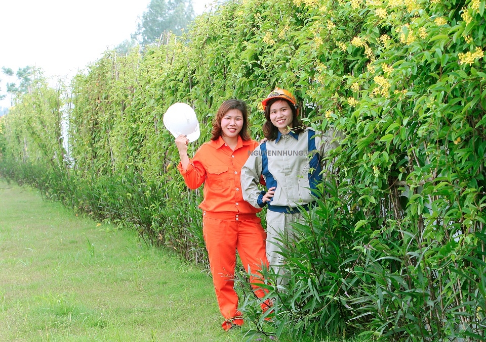 Người công nhân mặc Quần áo bảo hộ lao động vải Pangrim Hàn Quốc rất đẹp
