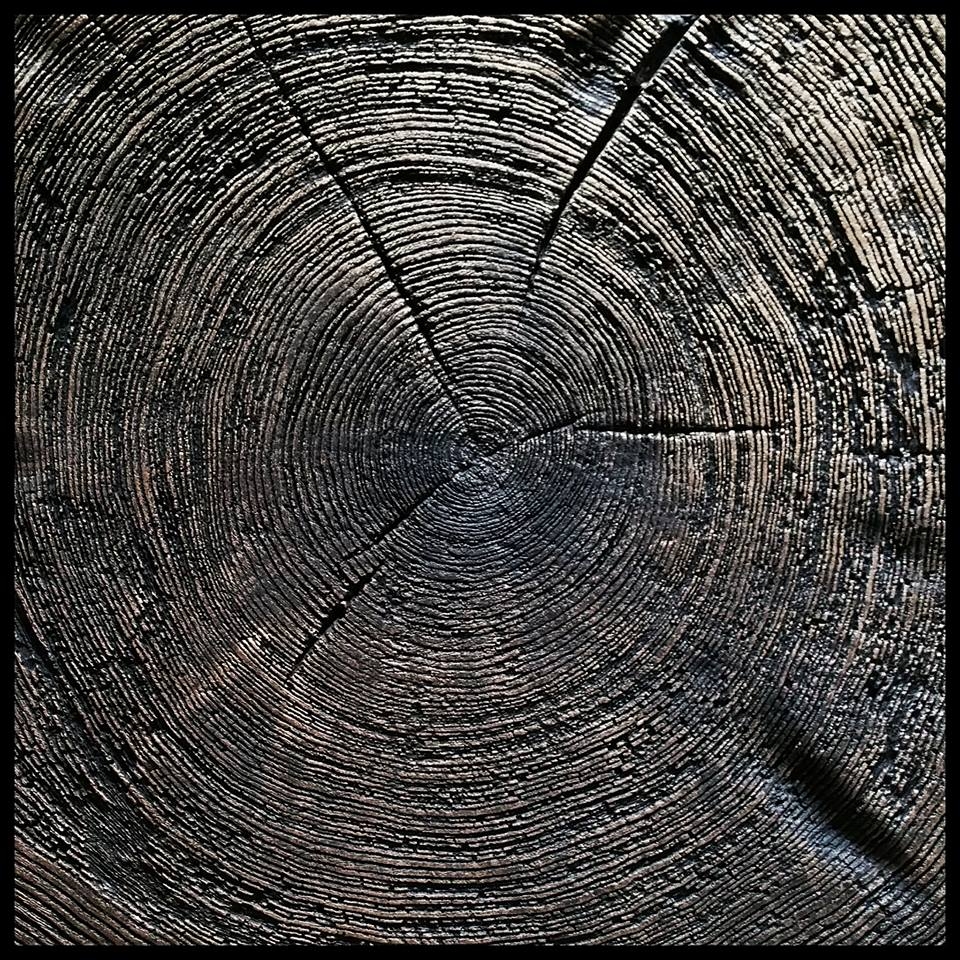 Gạch bê tông vân gỗ có vân giống hệt gỗ thật.