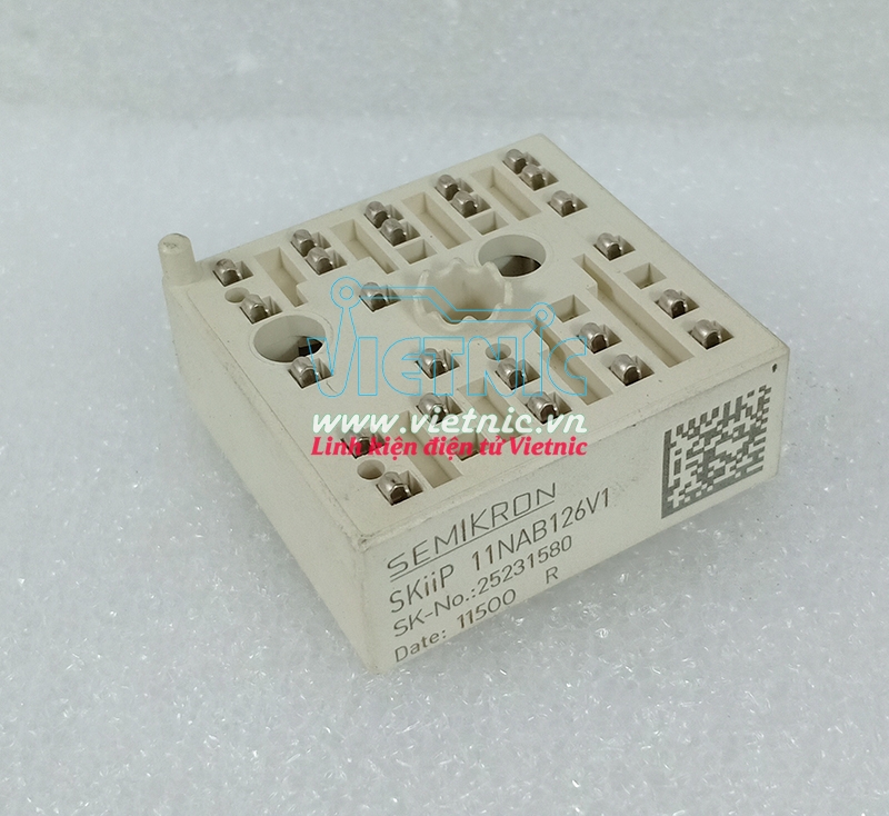 11NAB126V1 SKIIP 11NAB126V1