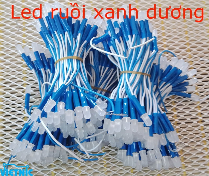 LED RUỒI MÀU XANH DƯƠNG 5V