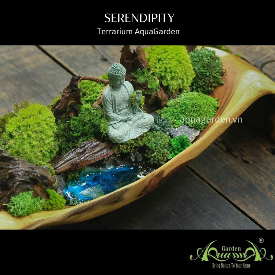 Terrarium 07 - Serenpidity