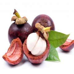 MANGOSTEEN