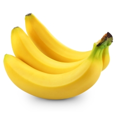 CAVENDISH BANANA