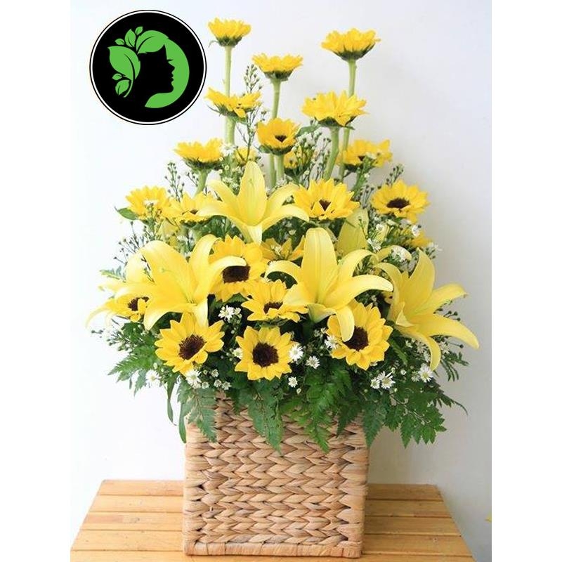 Hoa giỏ cao cấp DHCM17