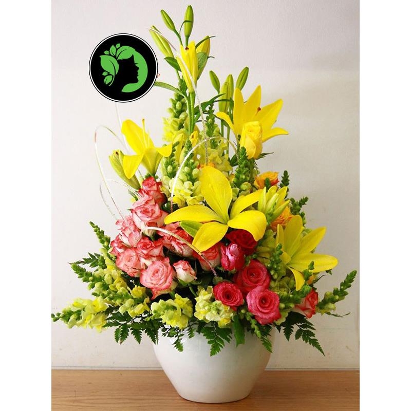 Hoa chúc mừng đẹp DHCM54