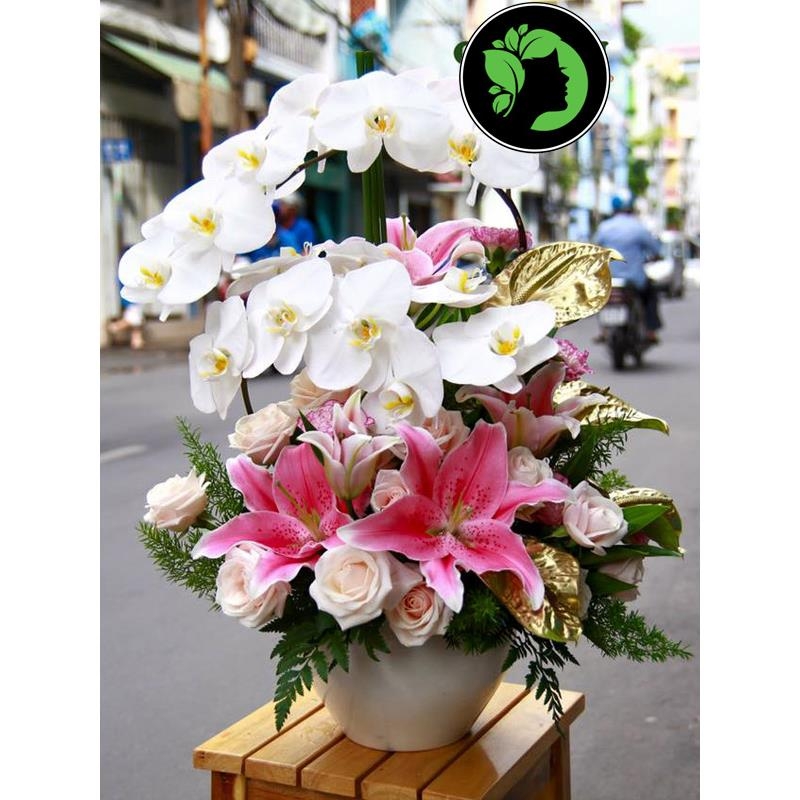 Hoa chúc mừng giá rẻ DHCM69