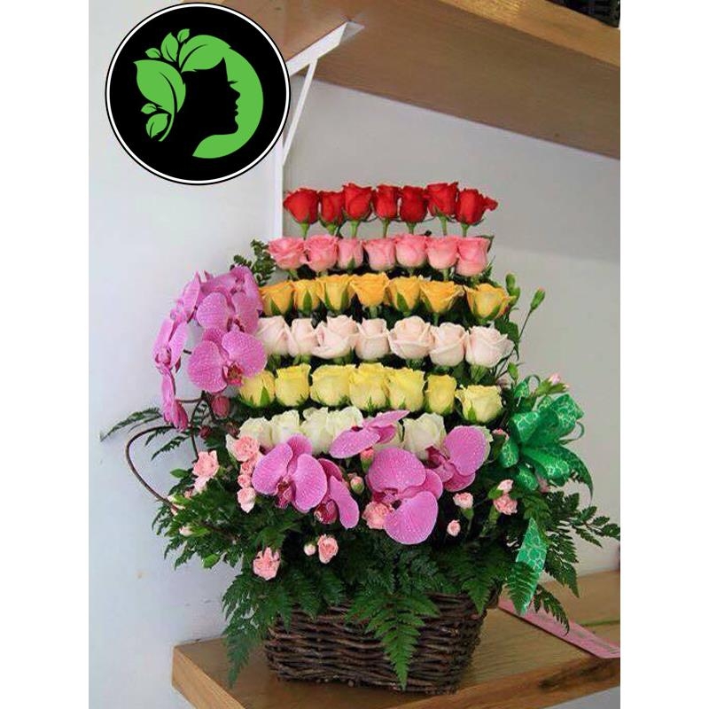 Hoa giỏ giá rẻ DHCM23