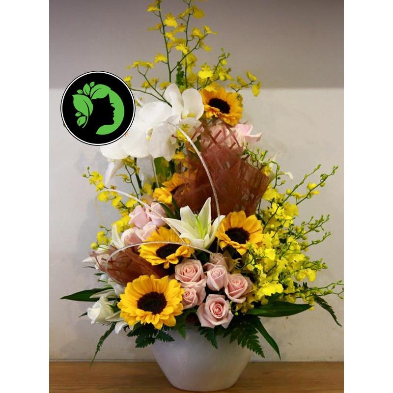 Hoa chúc mừng đẹp DHCM60