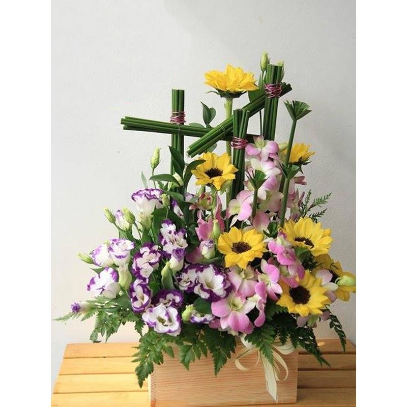 Hoa giỏ giá rẻ DHCM25