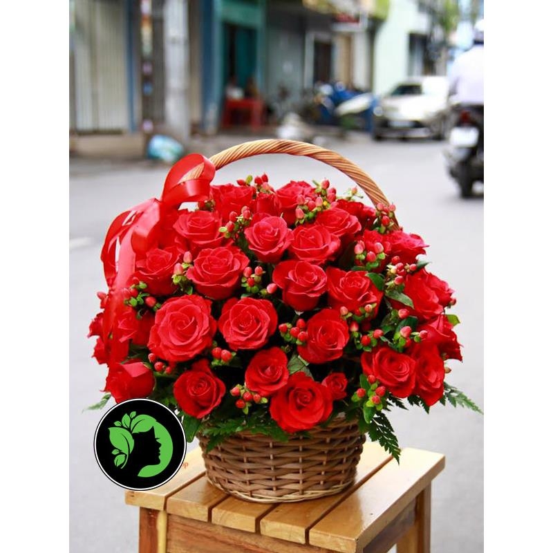 Hoa chúc mừng giá rẻ DHCM64