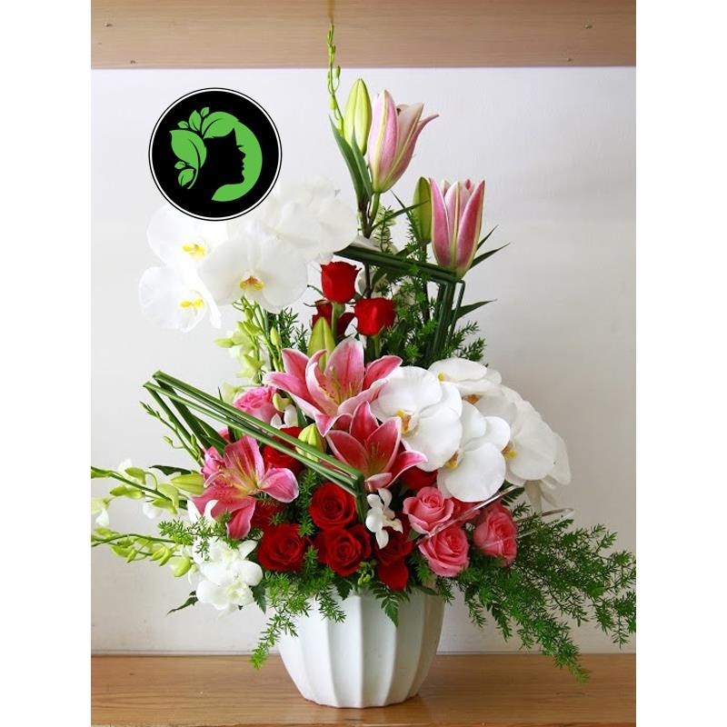 Hoa chúc mừng giá rẻ DHCM65