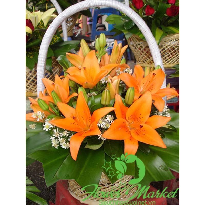 Hoa giỏ HCM140