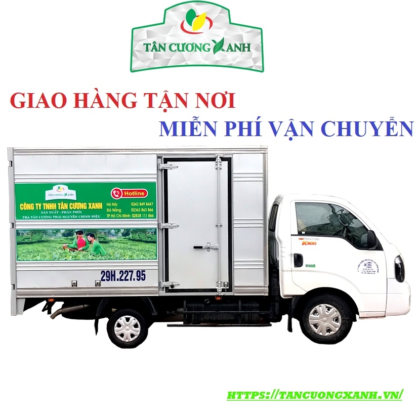 Trà Xanh Tân Cương SK10 - Hộp 100gram