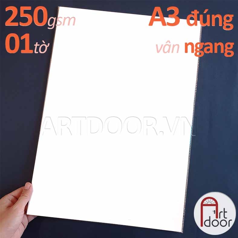 Giấy vẽ màu nước CANSON khổ lớn A1/A2/A3/A4 dày 250gsm (vân ngang) - [HỎA TỐC HCM]