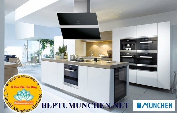 Thông số kỹ thuật chi tiết của máy hút mùi Munchen AM321