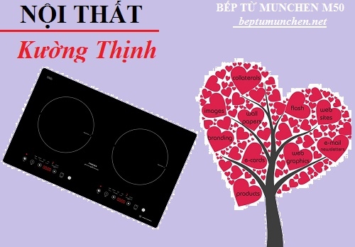 Công nghệ IC5 của bếp từ Munchen M50 là gì?