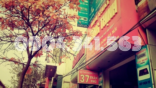 Mua bếp từ ở đâu uy tín nhất?