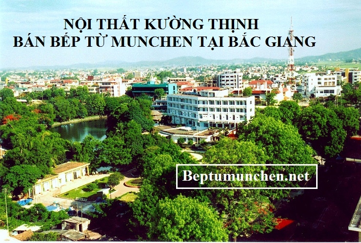 Mua bếp từ nhập khẩu ở đâu Bắc Giang