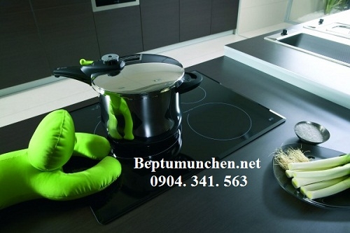 nên mua bếp từ đôi của hãng nào