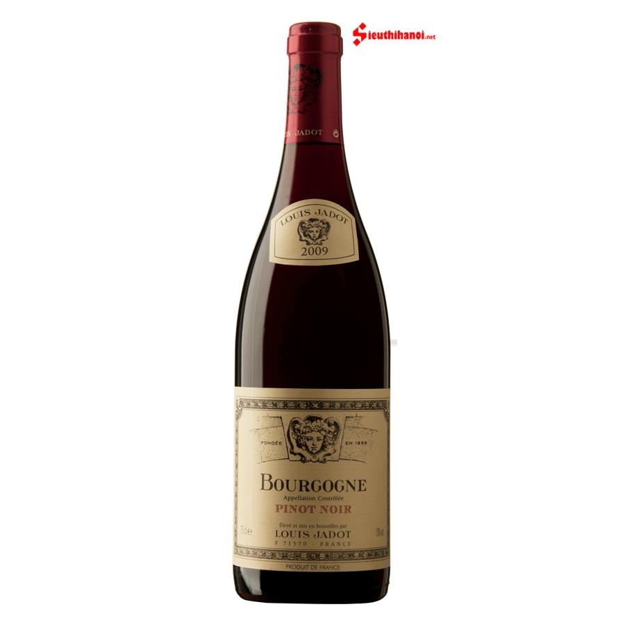 Bourgogne Pinot Noir - Rượu vang Pháp