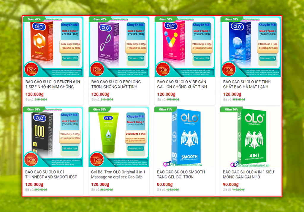 bao-cao-su-olo
