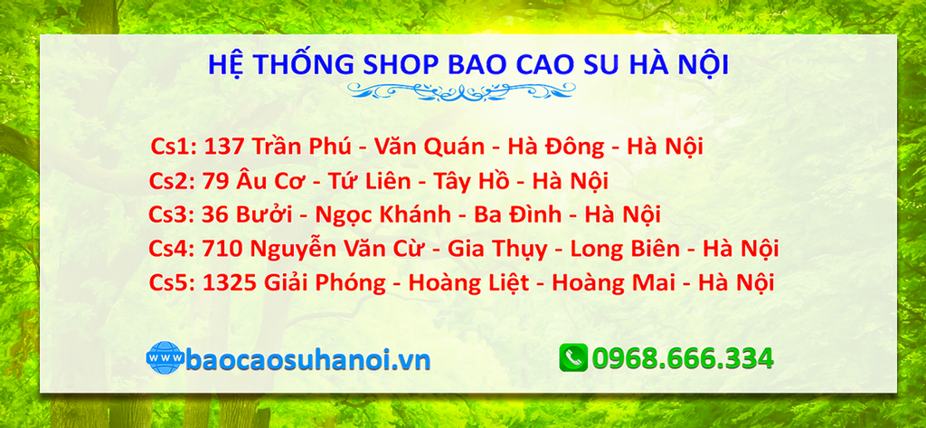 shop-bao-cao-su-hà-nội