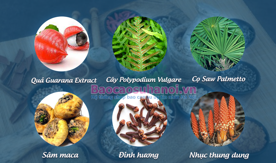 thành-phần-thuốc-maxman