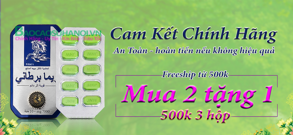 thuốc-ngựa-thái-chính-hãng-ở-bắc-ninh