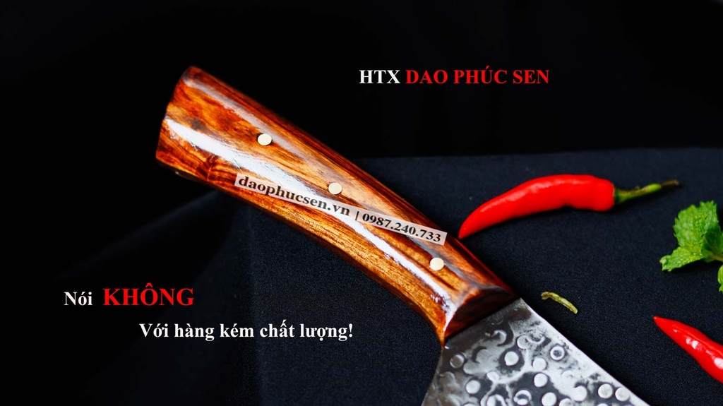 DAO LỌC THÁI  G14T
