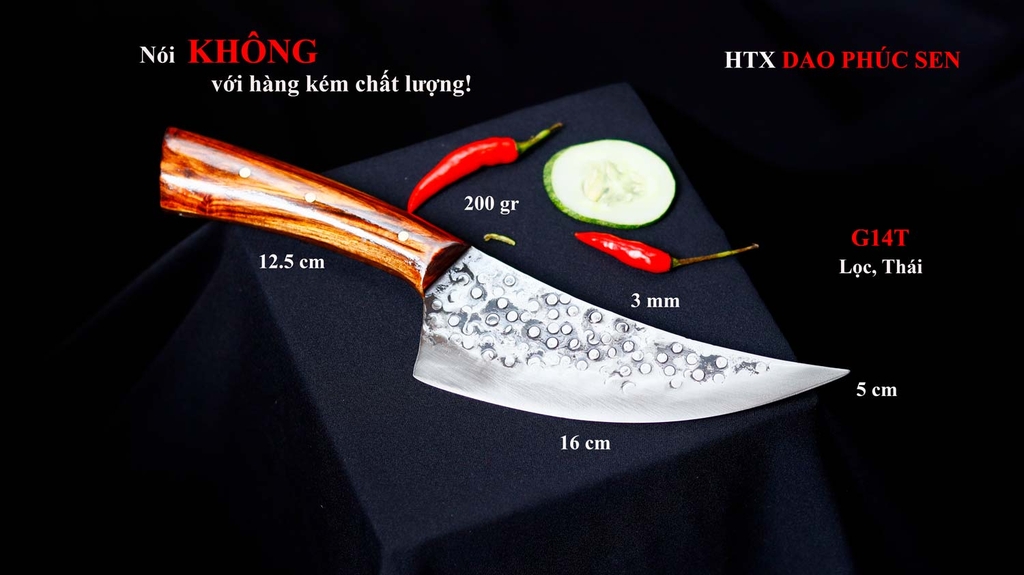 DAO LỌC THÁI  G14T