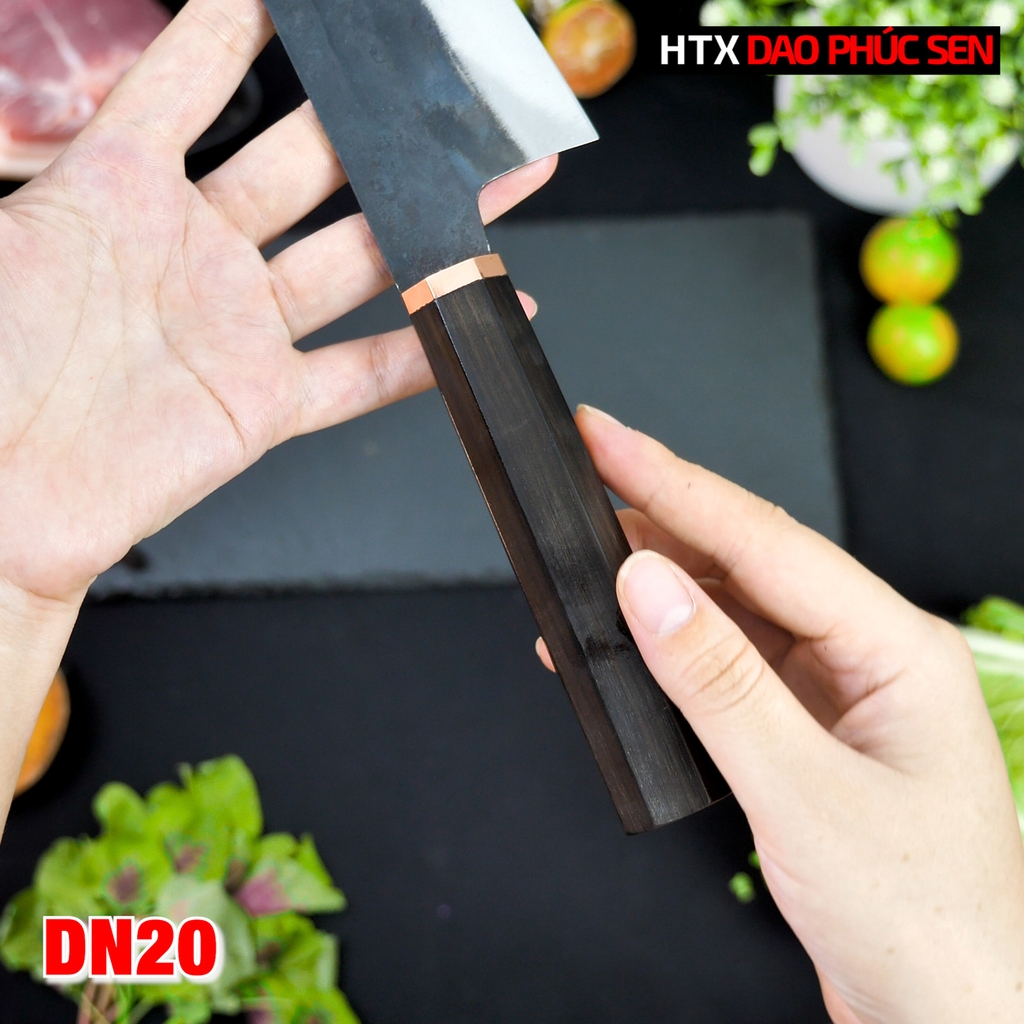 Dao thái lọc DN20