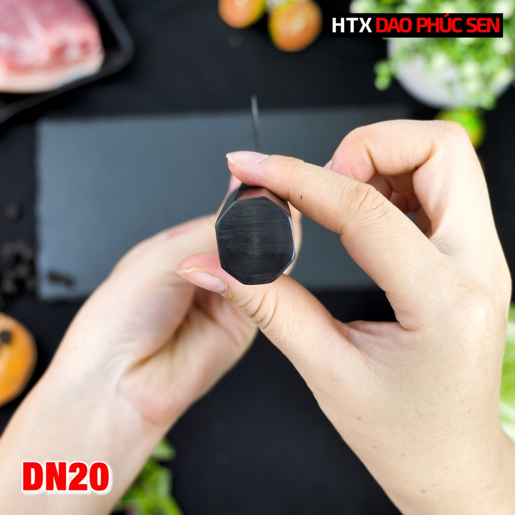 Dao thái lọc DN20