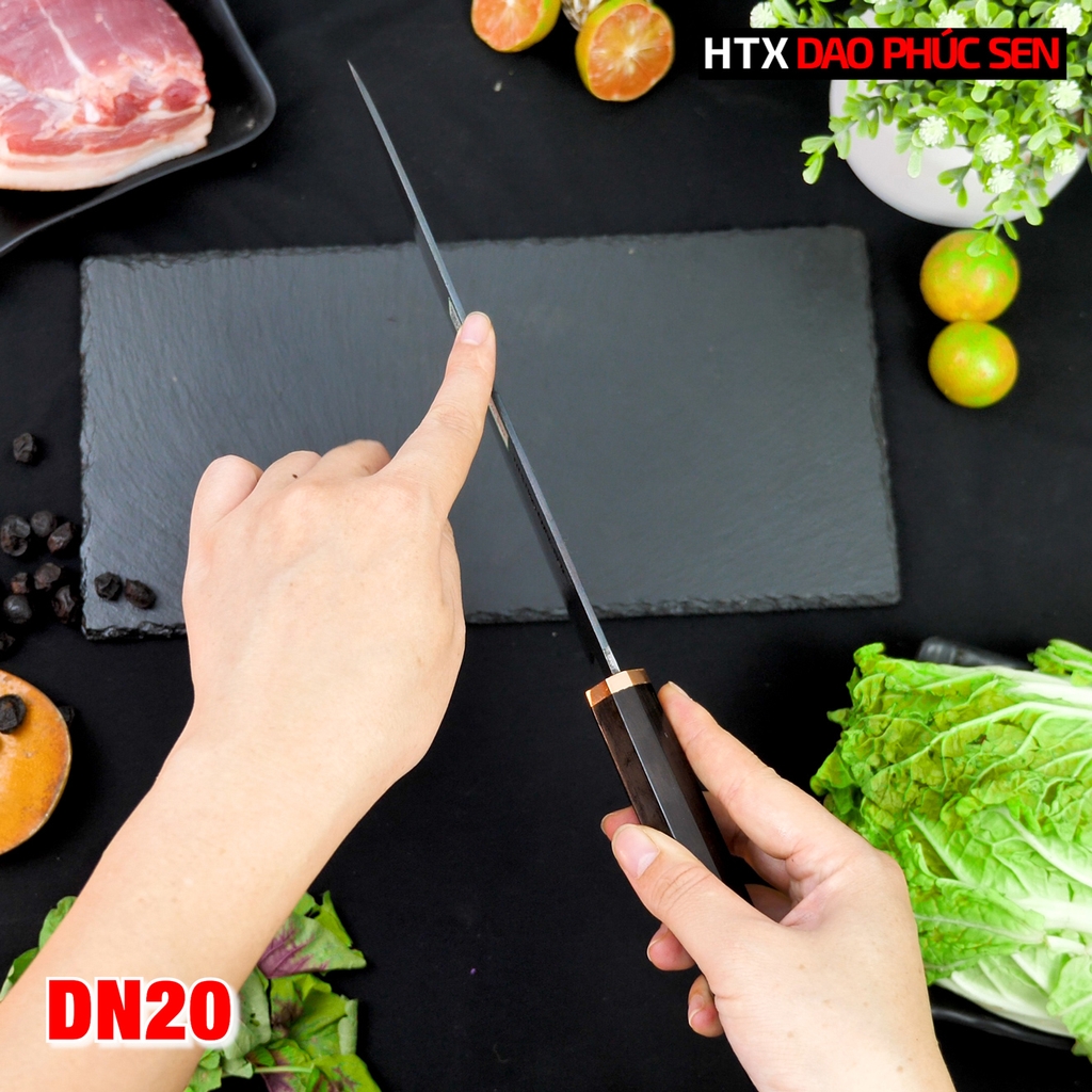 Dao thái lọc DN20