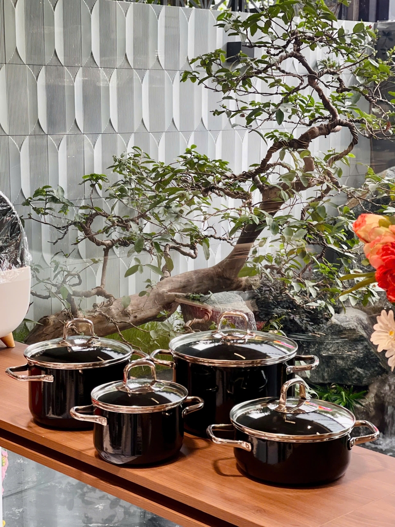 Bộ nồi Silit Elegance Line 4 món màu đen