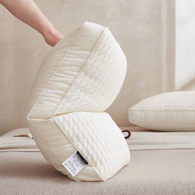 Cặp ruột gối lụa trần (2 cái)